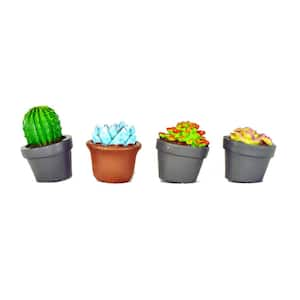 MiniGardenn Fairy Garden Miniature Succulent Plants (4-Pieces)