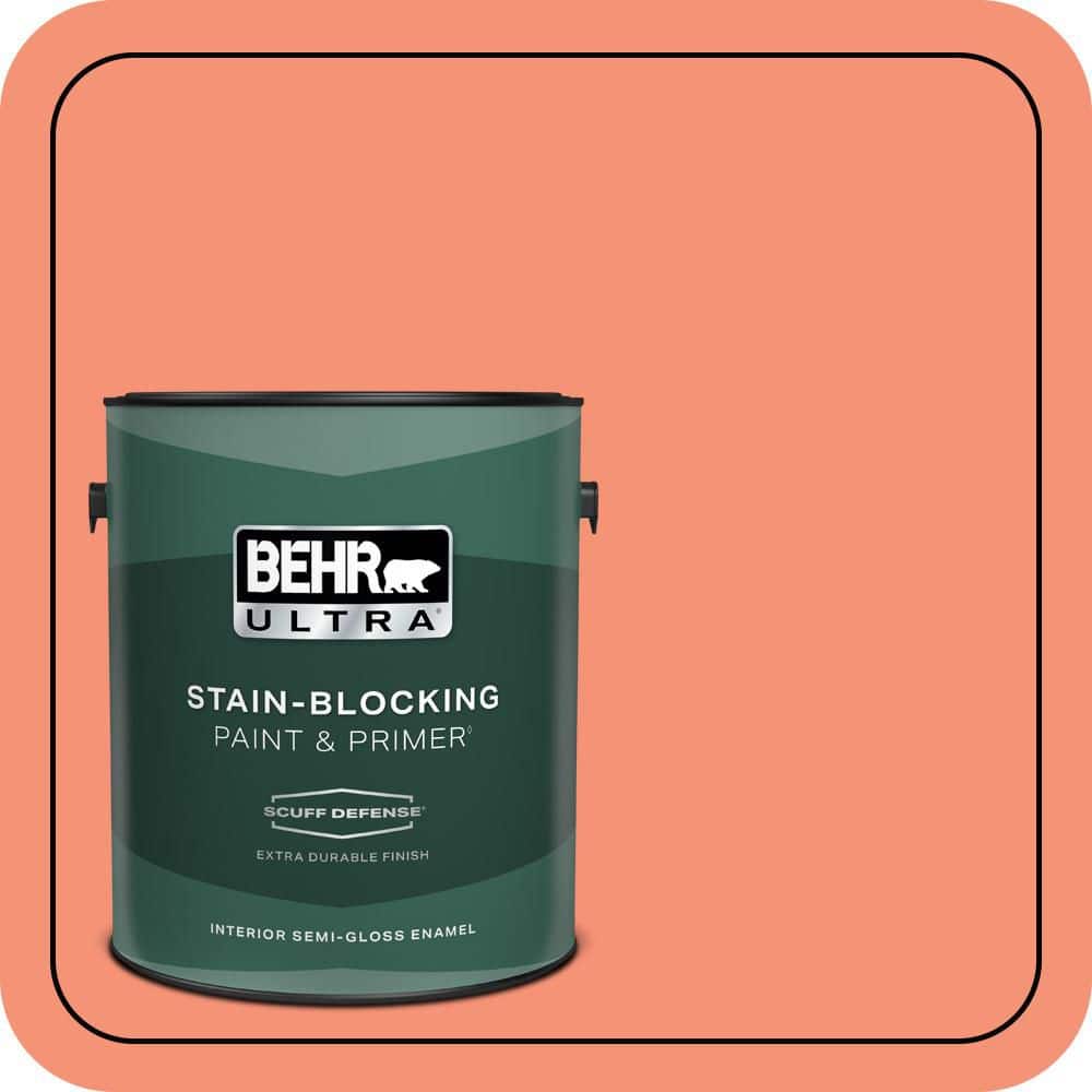 1 gal. #200B-5 Indian Dance Extra Durable Semi-Gloss Enamel Interior Paint & Primer price history on PriceWatchPro