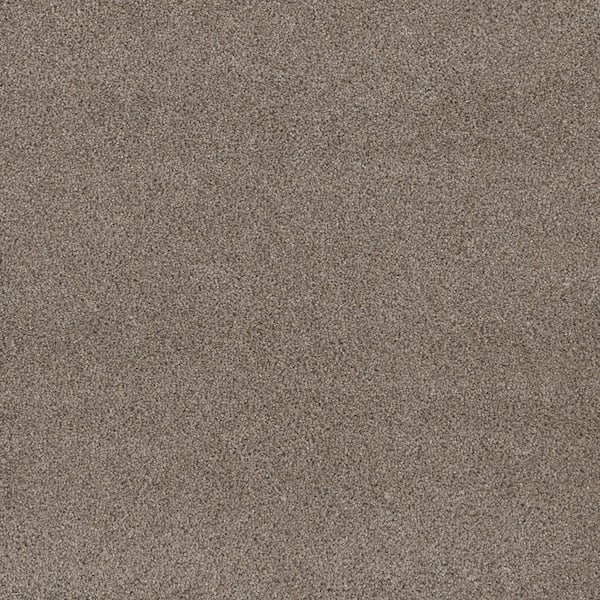 Home Decorators Collection Jack Bay I - Oceanfront - Beige 48 oz. SD Polyester Texture Installed Carpet