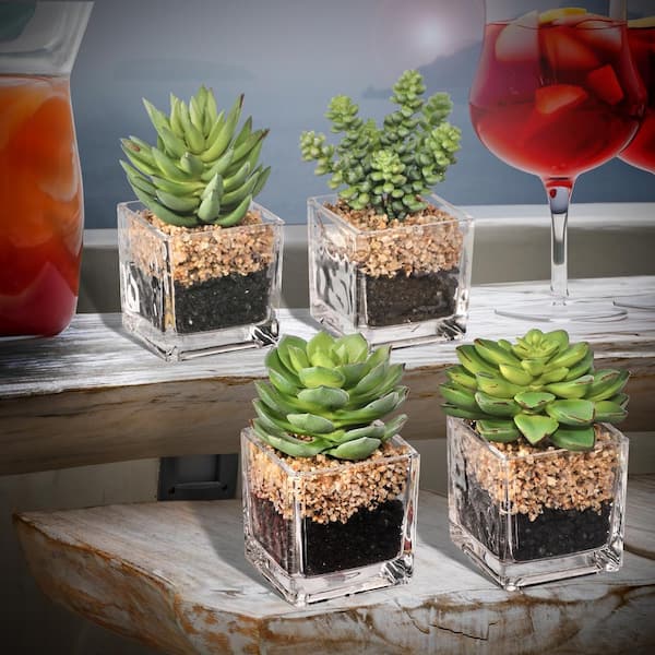 Regency International 4 in. to 5 in. Green Artificial Succulent in Glass