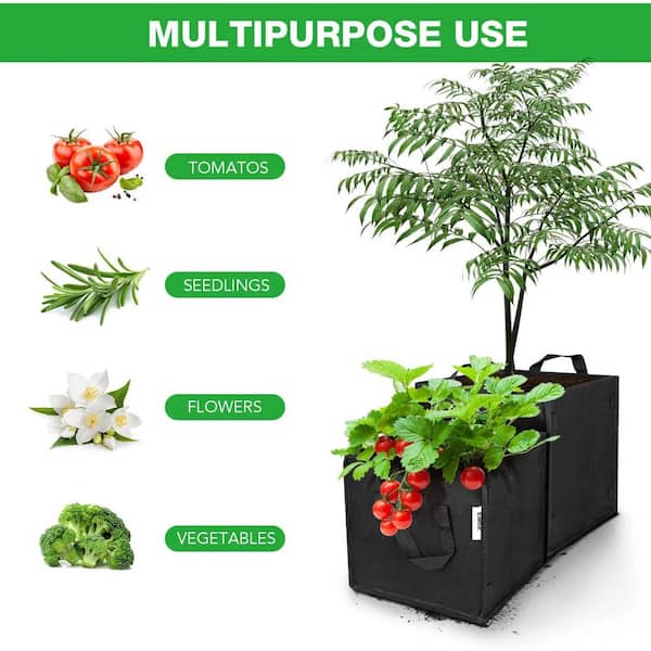 Grow Bags with Vegetable Saplings in a Vertical Stand Outside