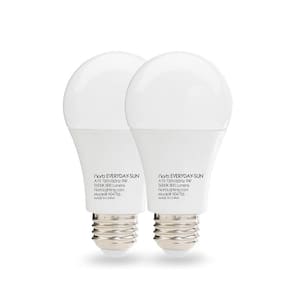 NorbEVERYDAY 9-Watt Equivalence-Everyday-Sun A19 5000K LED Bulb(2-Pack)