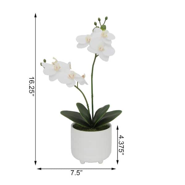 Details about  / Artificial Fake Real Touch White Butterfly Orchid Flower Party Home Decoration