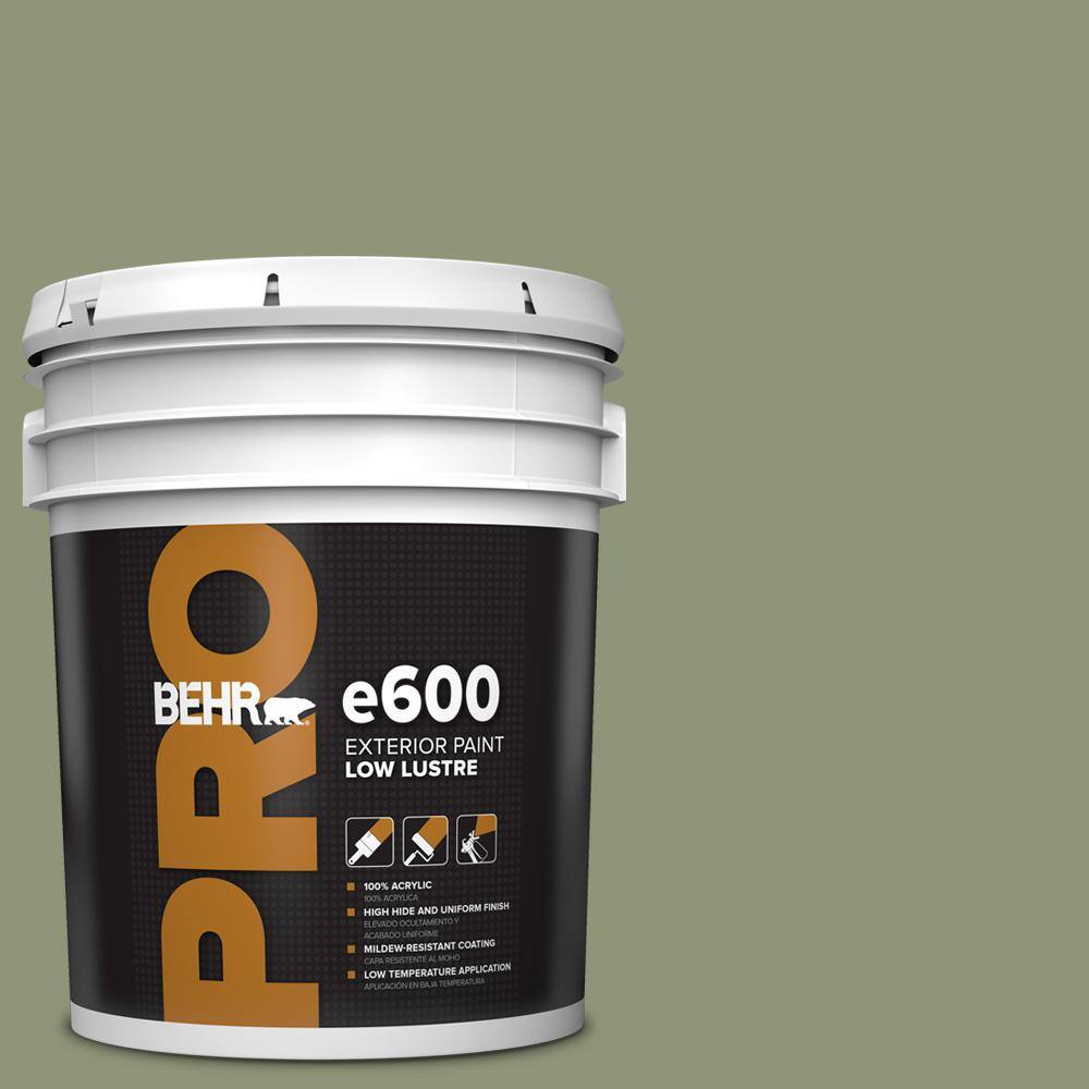 5 gal. #420F-5 Olivine Low Luster Exterior Paint price history on PriceWatchPro