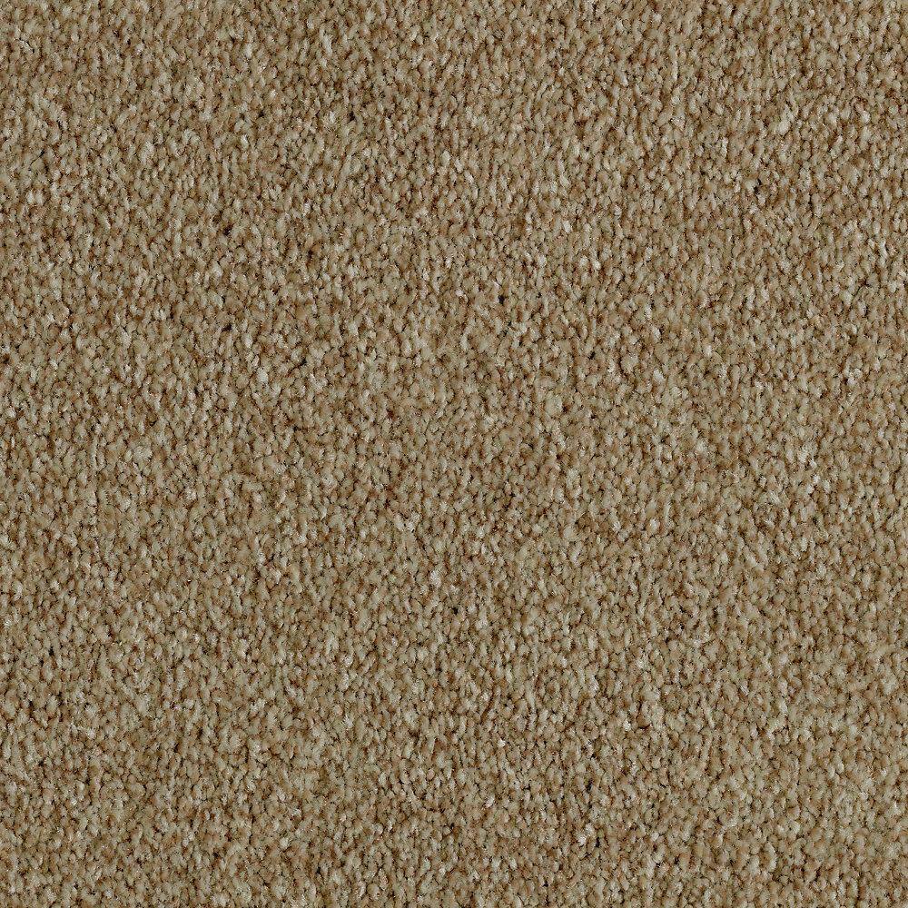 8 in. x 8 in. Texture Carpet Sample - Phenomenal I -Color Early Dawn price history on PriceWatchPro