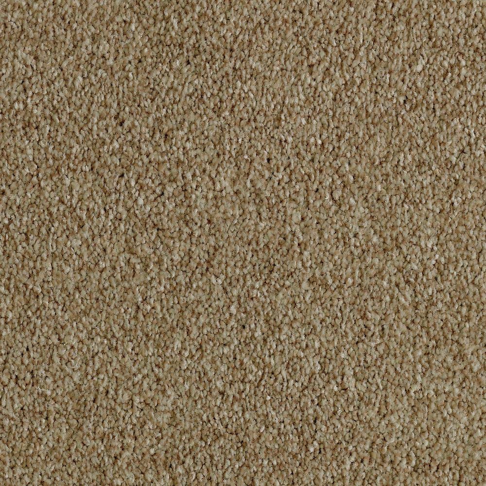 8 in. x 8 in. Texture Carpet Sample - Phenomenal II -Color Turnstone price history on PriceWatchPro