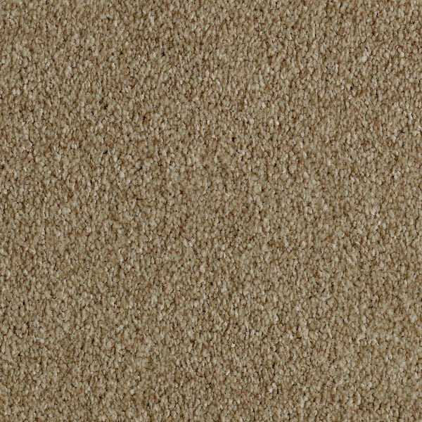 Lifeproof 8 in. x 8 in. Texture Carpet Sample - Phenomenal II -Color ...