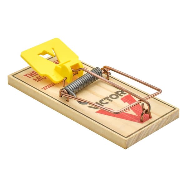 Victor Easy Set Mouse Trap (72-Pack)