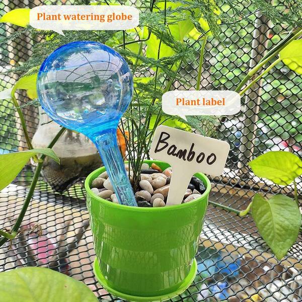 OGETFUUR 0.1 Gal. Self Watering Globes, Automatic Watering Bulbs for Indoor and Outdoor Potted Plants, Blue (10-Pack)
