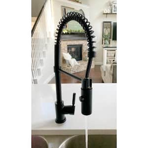 Kaiser Single-Handle Pull-Down Sprayer Kitchen Faucet in Matte Black