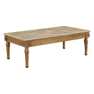Daesha 57 in. Antique Gold Rectangle Marble Top Coffee Table