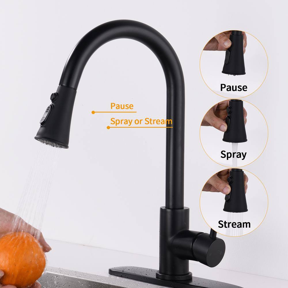 Matte Black Stainless Steel Single-Handle Pull-Down Kitchen Faucet