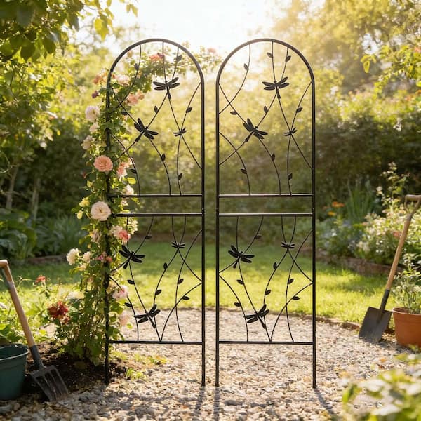 Unbranded 2 Pack 71 in. Iron Garden Trellis Garden Fencing for Climbing  Plants, Dragonfly Decorative Plant Trellis, Black W1586P266866YF