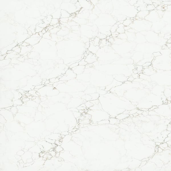 4 in. x 4 in. qt. Countertop Sample in Calacatta Jadira