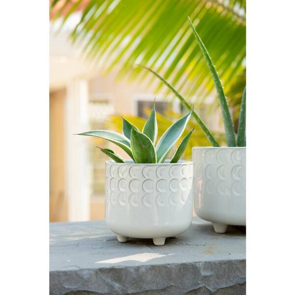 https://images.thdstatic.com/productImages/d6aed56d-e699-416c-aa90-dfcee38b1508/svn/ivory-white-flora-bunda-plant-pots-ct1093e2-ivory-1f_600.jpg