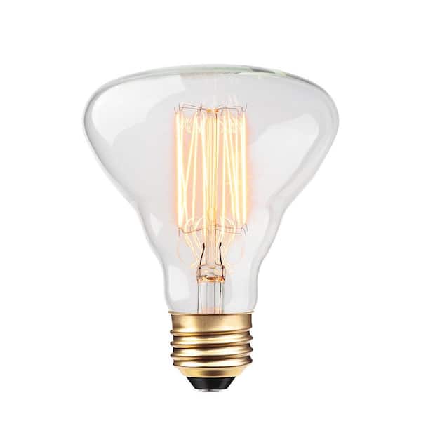 Globe Electric 40W Clear Designer Vintage Edison Labo Incandescent Light Bulb