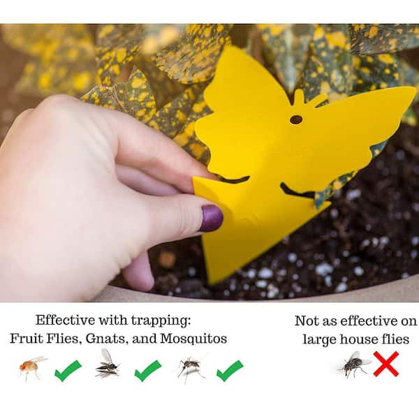 Butterfly Insect Catcher for White Flies,Mosquitos,Fungus Gnats,Flying Insects Sticky Trap,Fruit Fly and Gnat Trap Yellow Sticky Bug Traps for Indoor/Outdoor Use Disposable Glue Trappers 14 PCS 