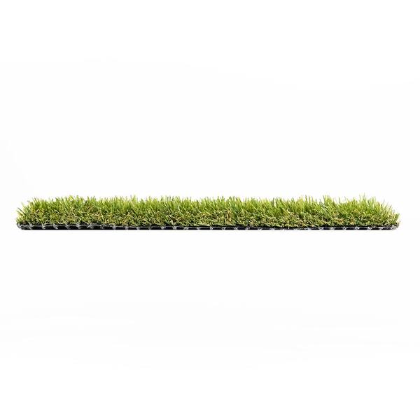 TURF DISTRIBUTORS Eco 48 (1 ft. x 1 ft. Sample Square) Eco 48 Sample ...