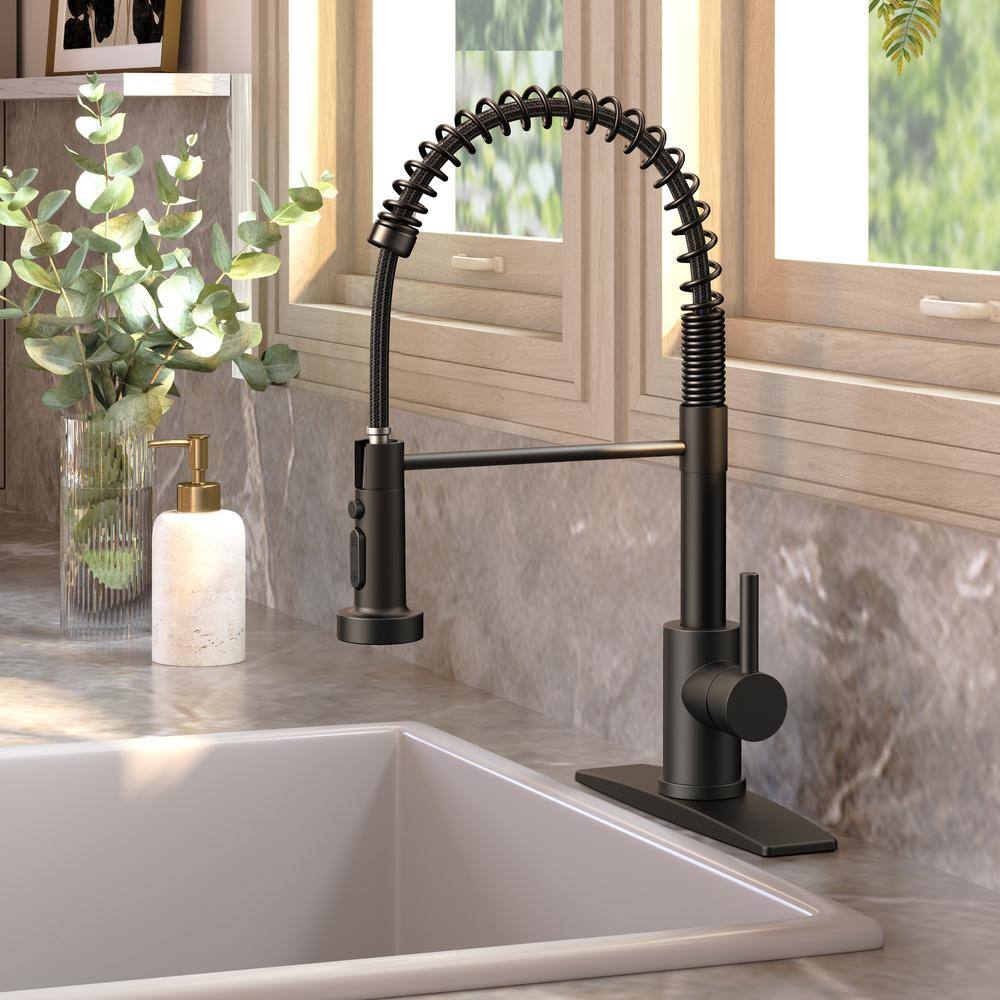 Matte Black Stainless Steel Pull Down Kitchen Faucet with Deck Plate