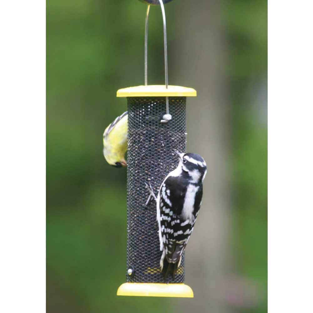 Yellow Metal and Mesh Hanging Nyjer Seed Feeder