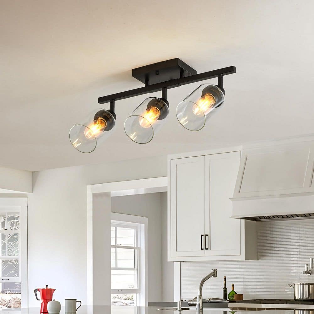 20 in. 3-Light Matte Black Adjustable Track Lighting, Ceiling Spotlight with Clear Glass Shades price history on PriceWatchPro