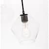 black-with-clear-shade-glass-pendant-lights-lvnpn4536bk-4f.3