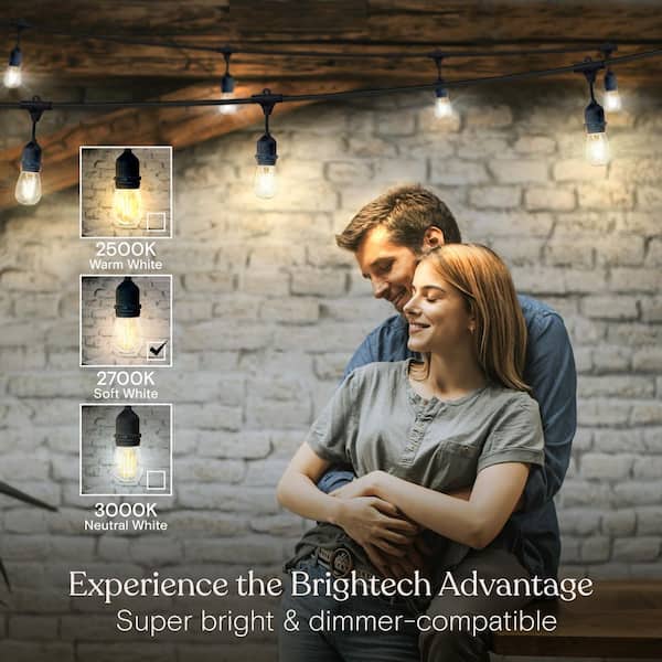 Ambience Pro 7-Light 24 ft. Indoor/Outdoor Plug-in 2-Watt 2700K Soft White LED S14 Edison Bulb String Lights
