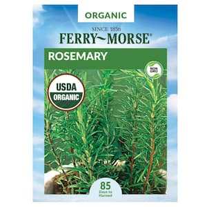 Organic Rosemary Herb Seed