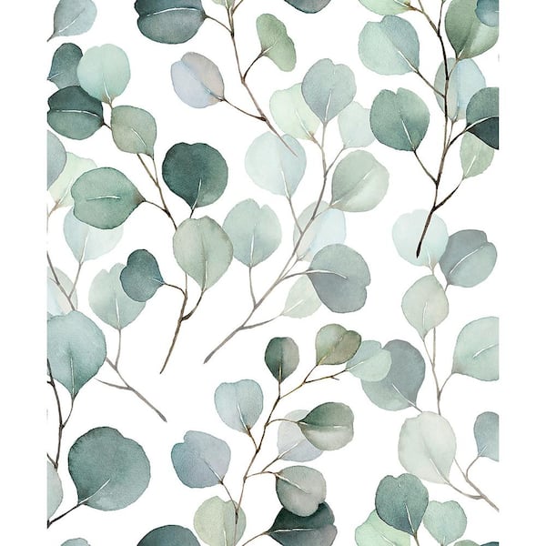Unbranded Flora Collection Green Eucalyptus Leaf Trail Matte Finish Non-pasted Vinyl on Non-woven Wallpaper Roll