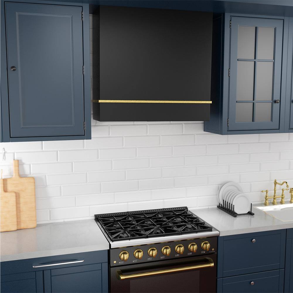 30-Inch Stainless Steel Wall-Mount Range Hood with Charcoal Filter