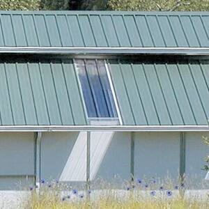 6 ft. Polycarbonate Roof Panel in Clear