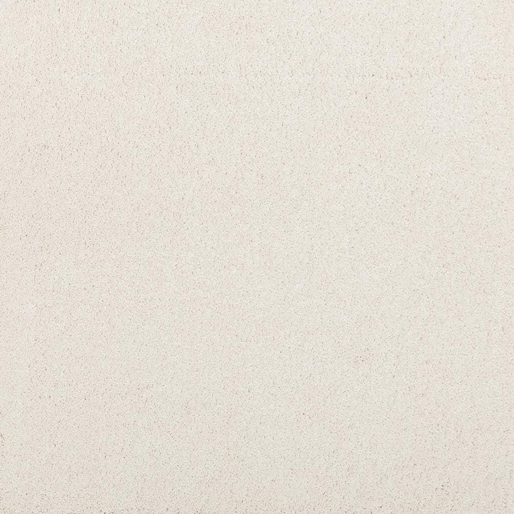 8 in. x 8 in. Texture Carpet Sample - Plush Dreams III -Color Pearly price history on PriceWatchPro