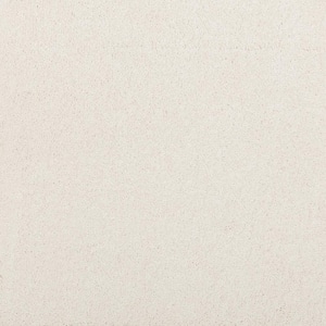 8 in. x 8 in. Texture Carpet Sample - Plush Dreams I -Color Pearly