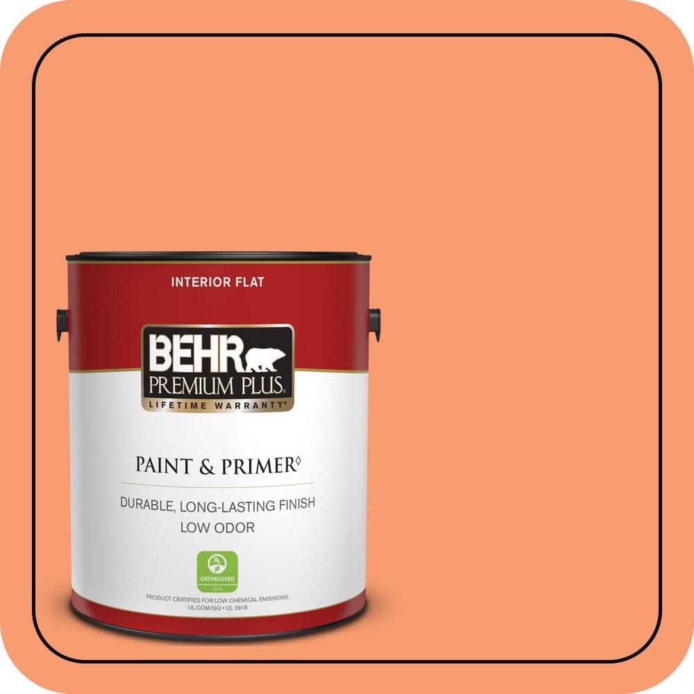 1 gal. #P200-5 Burning Coals Flat Low Odor Interior Paint & Primer price history on PriceWatchPro