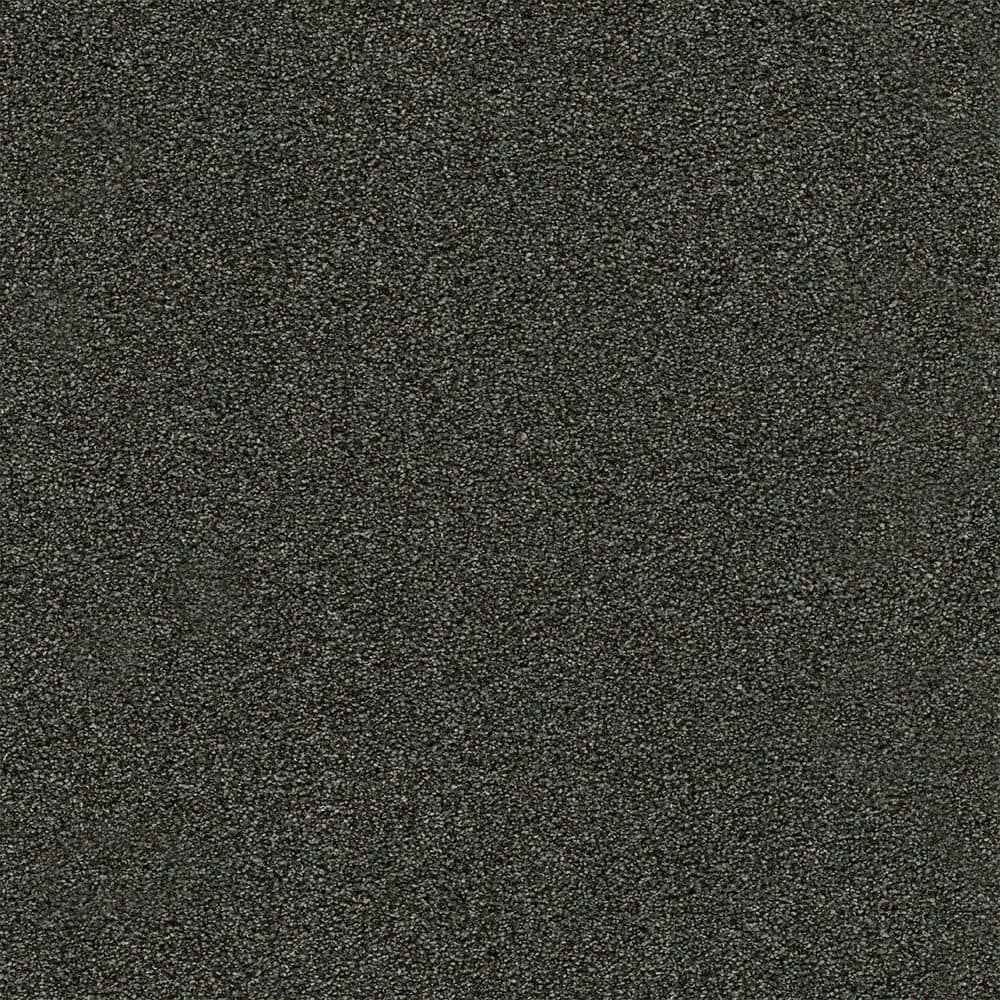 8 in. x 8 in. Texture Carpet Sample-Dewdrop II-Color Trickle price history on PriceWatchPro