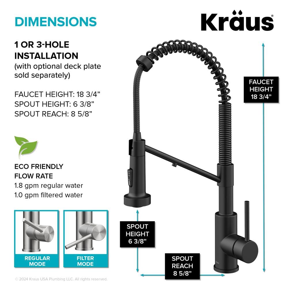 Matte Black 2-in-1 Pull-Down Kitchen Faucet with Water Filter