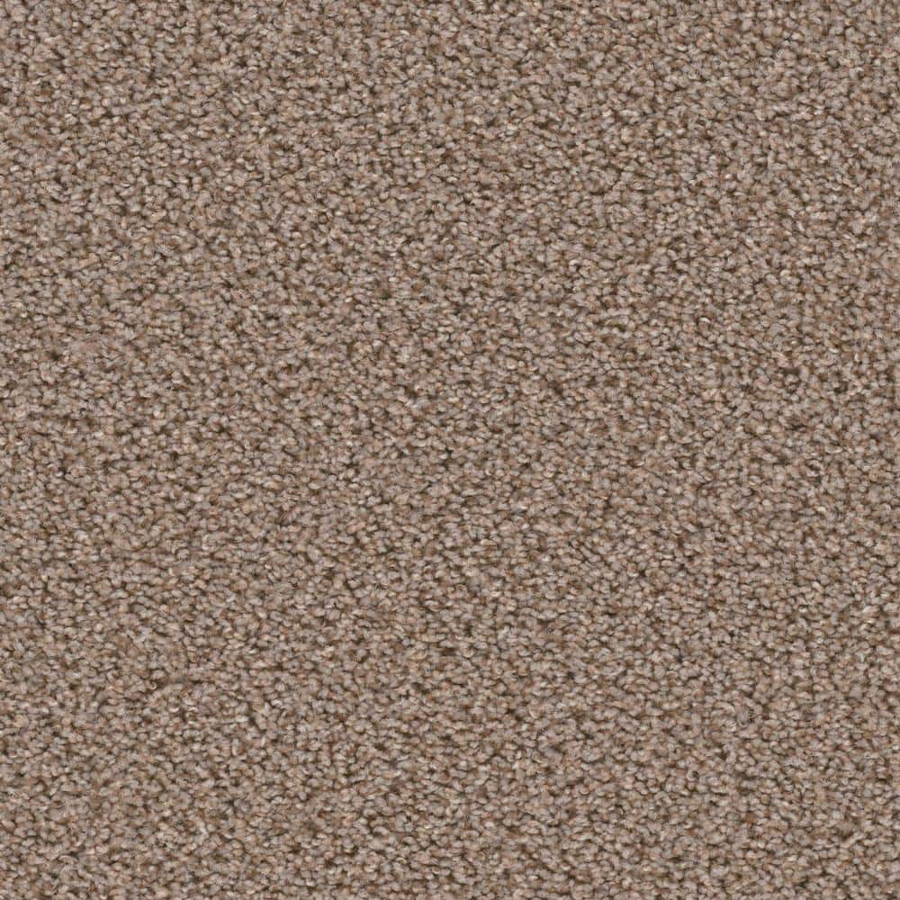 8 in. x  8 in. Texture Carpet Sample - Added Value -Color Compliment price history on PriceWatchPro