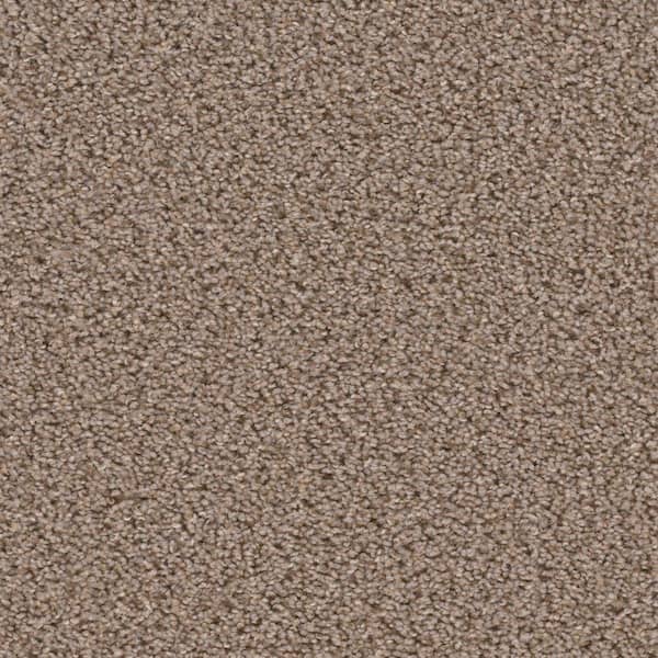 TrafficMaster 8 in. x  8 in. Texture Carpet Sample - Added Value -Color Compliment