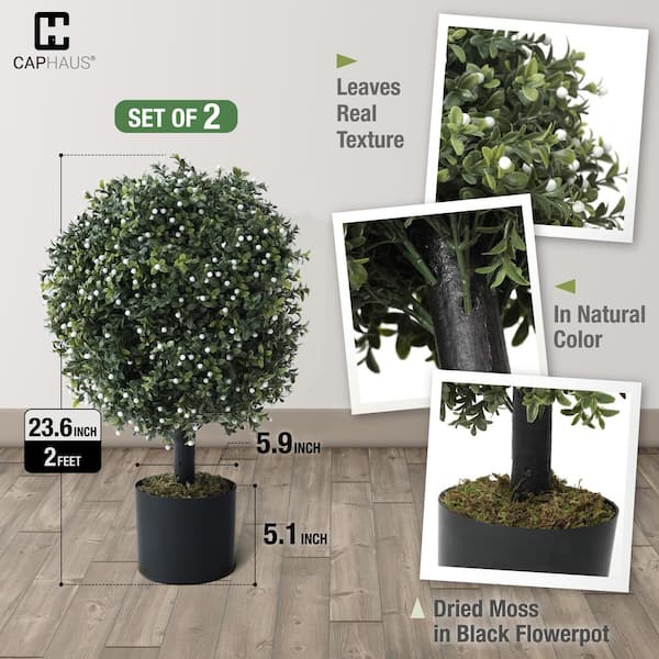 Indoor Realistic Life-Size Artificial Bonsai Tree - Lifelike Foliage for  Serene Indoor Ambiance