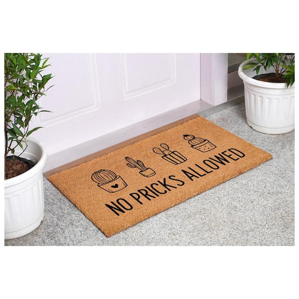 No Pricks Allowed Multi-Colored 17 in. x 29 in. Indoor or Outdoor Doormat