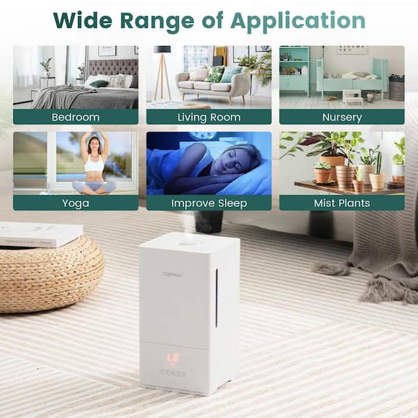 Costway 1 Gal. 4L 250 sq.ft. Ultrasonic Humidifier with 2