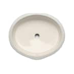 KOHLER Verticyl Oval Vitreous China Undermount Bathroom Sink in Biscuit ...