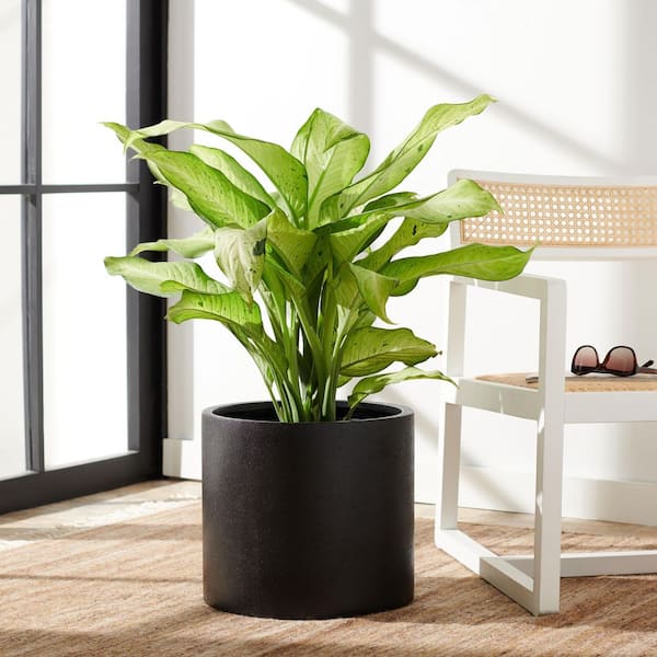 Alia Black Concrete Ficonstone Outdoor Planter (14.5 in. W x 12.9 in. H)