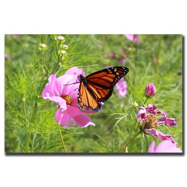 Trademark Fine Art 35 in. x 47 in. Spring I Canvas Art