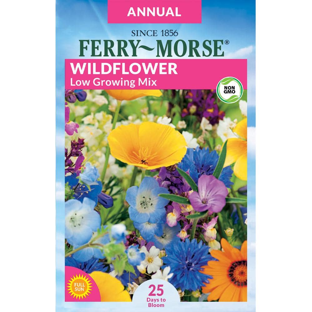 Ferry-Morse Economy Wildflower Low Grow Mixture Flower Seed 2187 - The Home  Depot