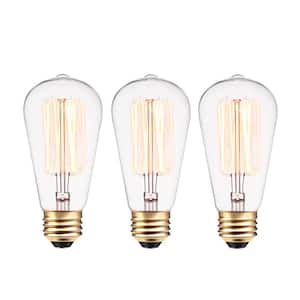 40 Watt S60 Dimmable Cage Filament Vintage Edison Incandescent Light Bulb, Soft White Light