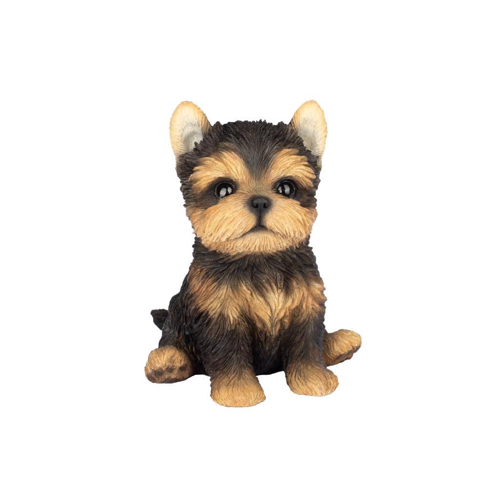 SoReal Brown YorkTerrier price history on PriceWatchPro
