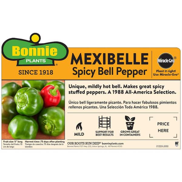19 oz. Mexibell Pepper Plant