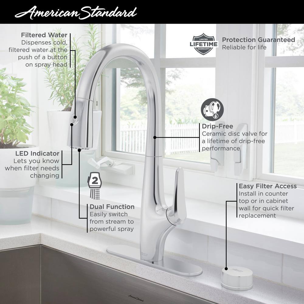 Saybrook Chrome Pull-Down Kitchen Faucet with Filter