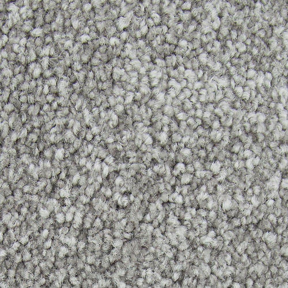 8 in. x 8 in. Texture Carpet Sample - Gentle Peace I -Color North Wind price history on PriceWatchPro